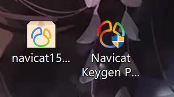 Navicat15 软件安装包下载